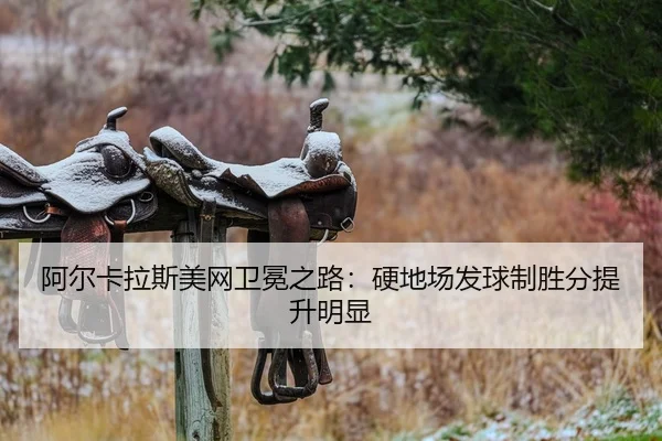 a-er-ka-la-si-mei-wang-wei-mian-zhi-lu-ying-di-chang-fa-qiu-zhi-sheng-fen-ti-sheng-ming-xian-2-160.jpg